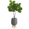 3.5ft. Fiddle Leaf Fig Tree in Gray Planter with Stand